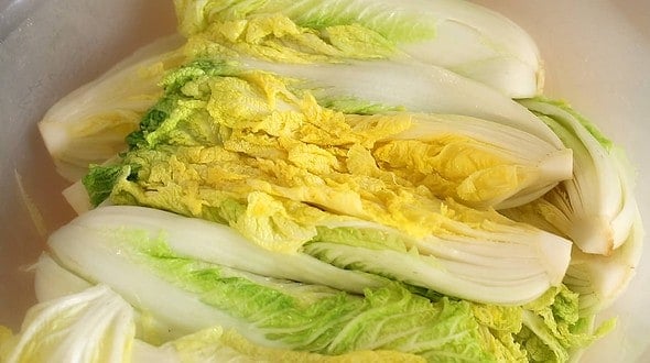 kimchi_cabbage salting (배추소금절이기)