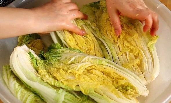 kimchi_cabbage salting (배추소금절이기)