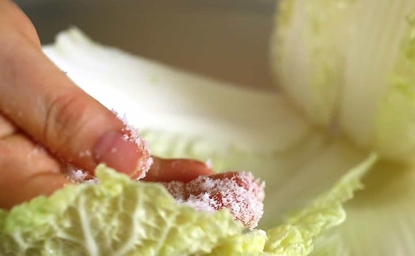 Salting cabbage