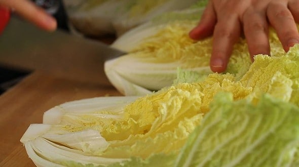 napa cabbage_cut (배추)