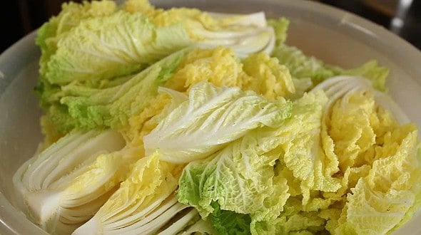 cabbage_salting (배추 소금절이기)