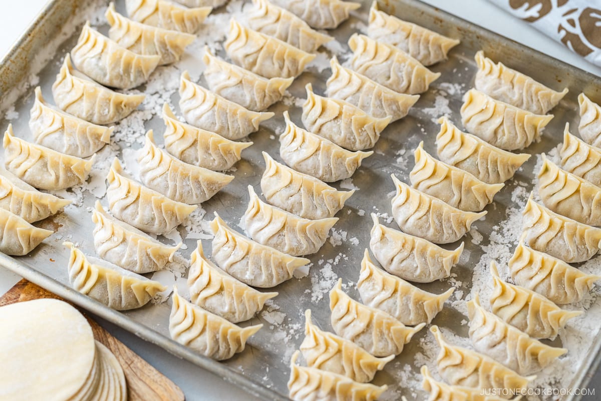 A baking sheet containing uncooked gyoza (Japanese potstickers or pan-fried dumplings)