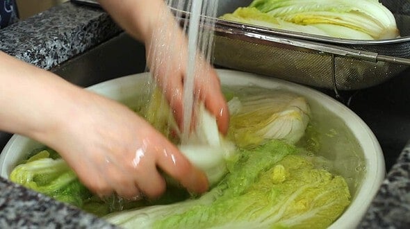 kimchi-cabbage wash (배추씻기)