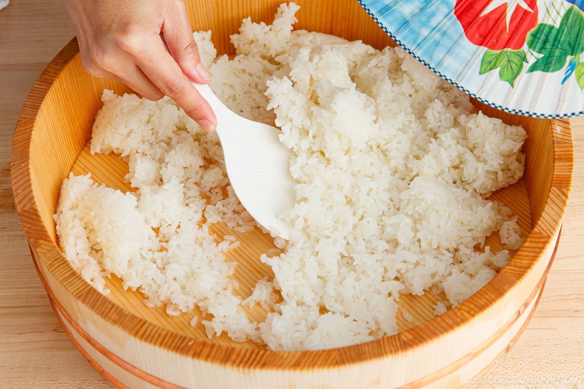 Fanning sushi rice to let cool.