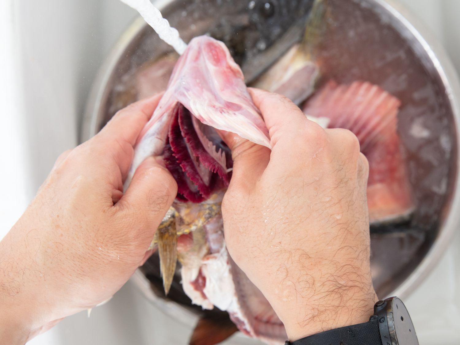 Overhead view of cleaning fish