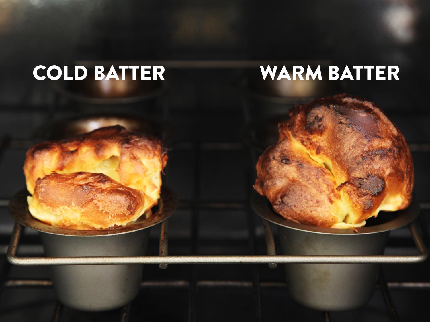 Comparing the height of Yorkshire puddings cooked from cold and warm batter