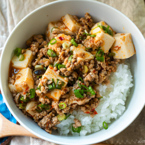 A donburi bowl containing mapo tofu over bed of steamed rice.