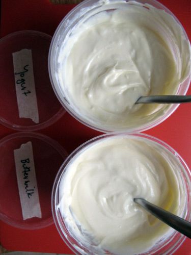 Test batch of crème fraîche made with yogurt and with buttermilk.